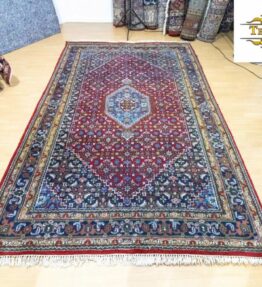 Sold (#216) approx. 305x205cm Hand-knotted IND Bijar Persian rug - fish pattern Mahi Bijar