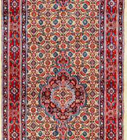 (#H1243) approx. 284x82cm Hand-knotted Moud, Birjand Persian carpet