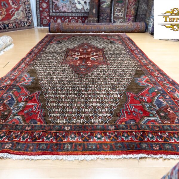 Oosters tapijt Perzisch tapijt Wenen (20 van 32)