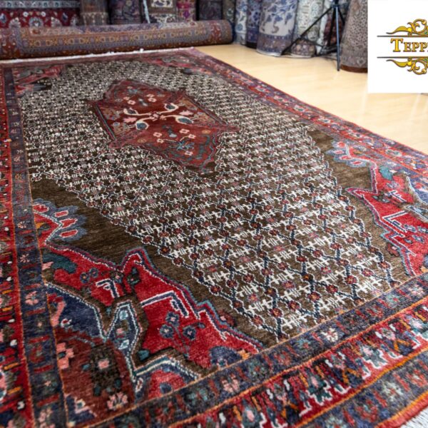 Orientální koberec Perský koberec Vídeň (21 z 32)