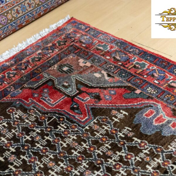 Oosters tapijt Perzisch tapijt Wenen (24 van 32)