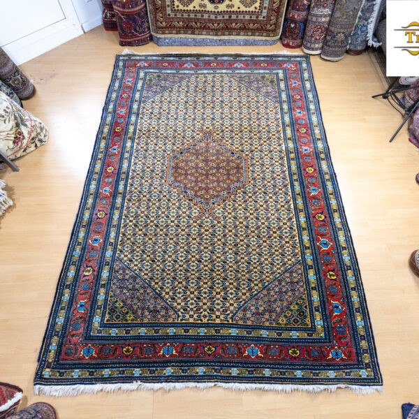 W1(#231) ok. 300x205cm Ręcznie tkany półantyczny dywan perski Tabriz wzór ryby Mahi