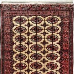 Buchara, Kaschmir, Indien