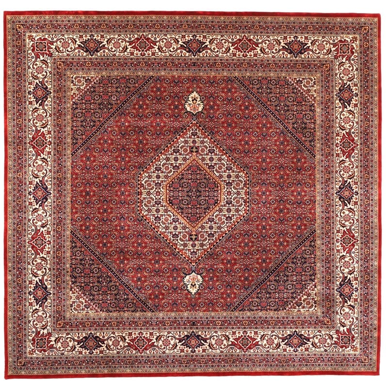 BIDJAR Teppich 248x253 cm – robust, dichte Knüpfung, handgeknüpft, Perserteppich