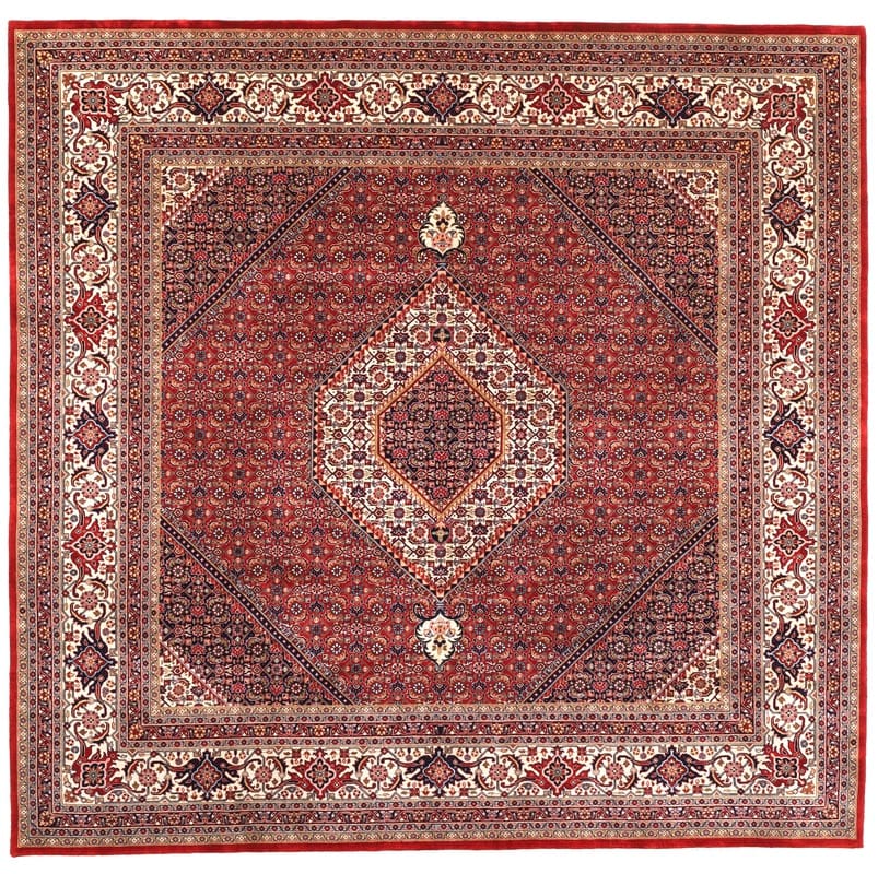Bidjar Teppich 250x252 cm - Robust & Verschleißfest - Perserteppich