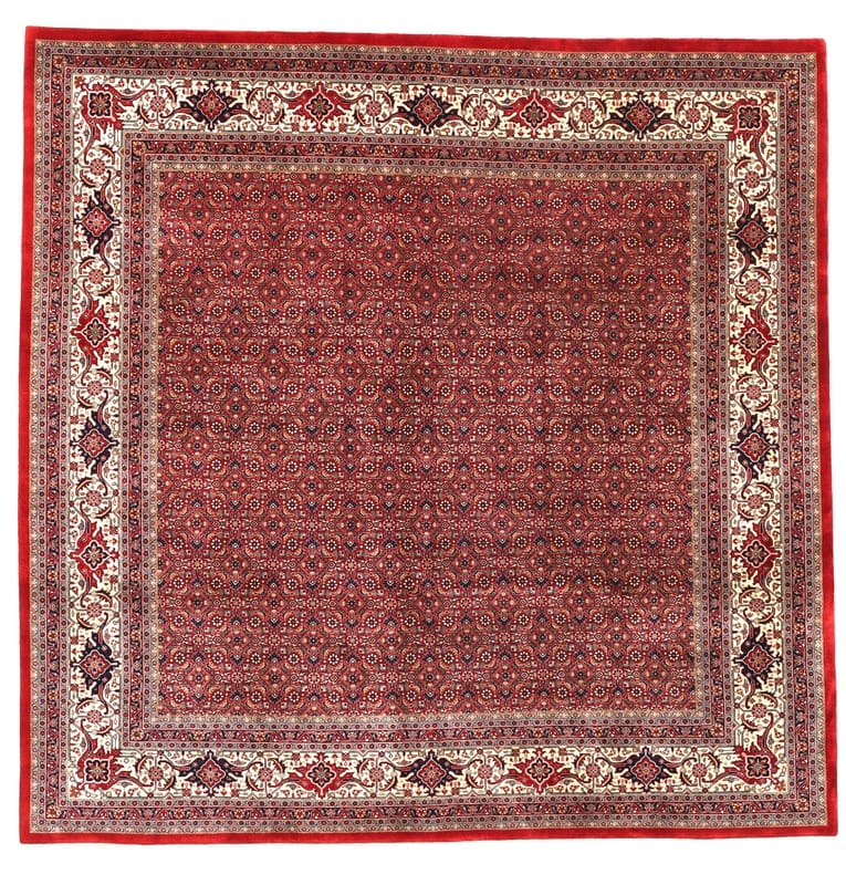 Bidjar Teppich 254x255 cm - Robuster Perserteppich handgeknüpft