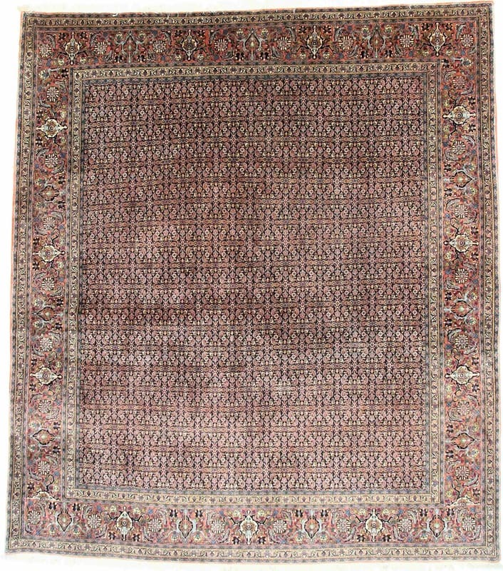 Bidjar Teppich 342x301 cm – Robust, Verschleißfest, handgeknüpft