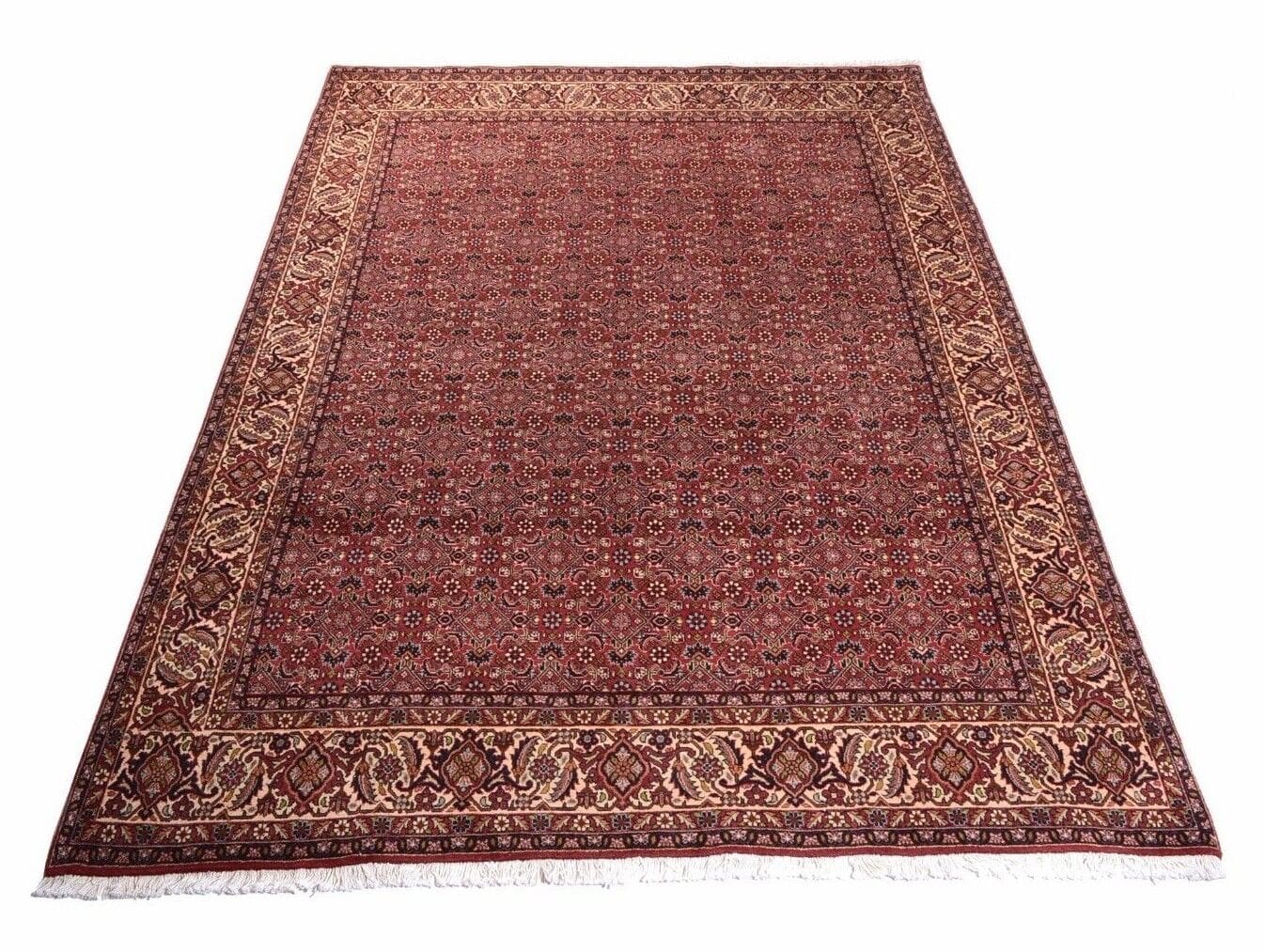 **Perserteppich Bidjar 285x200 cm, 320.000 Knoten, handgeknüpft**