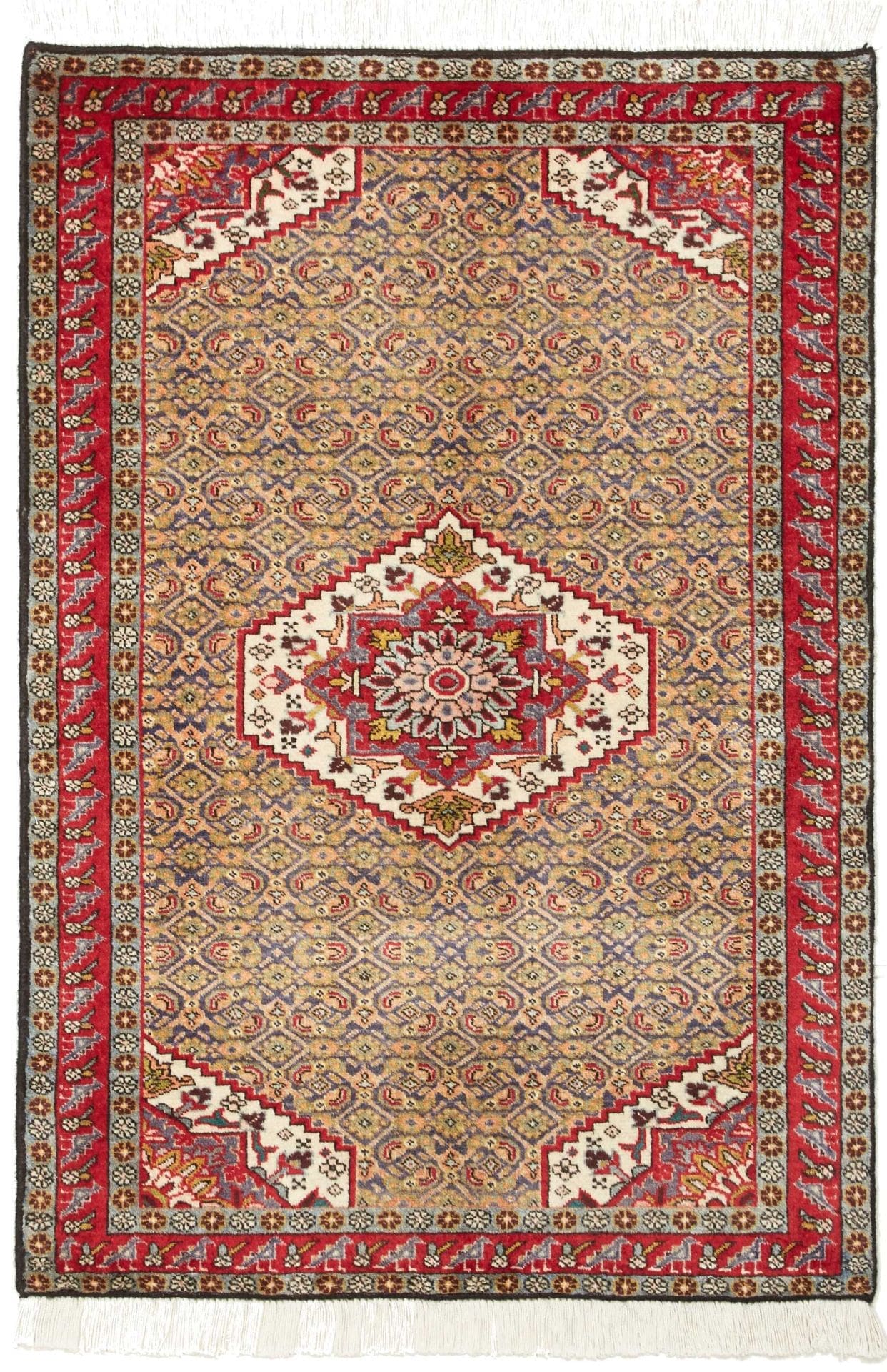 Ardebil Teppich 75 x 105 cm – Handgeknüpft, Schurwolle, Perserteppich