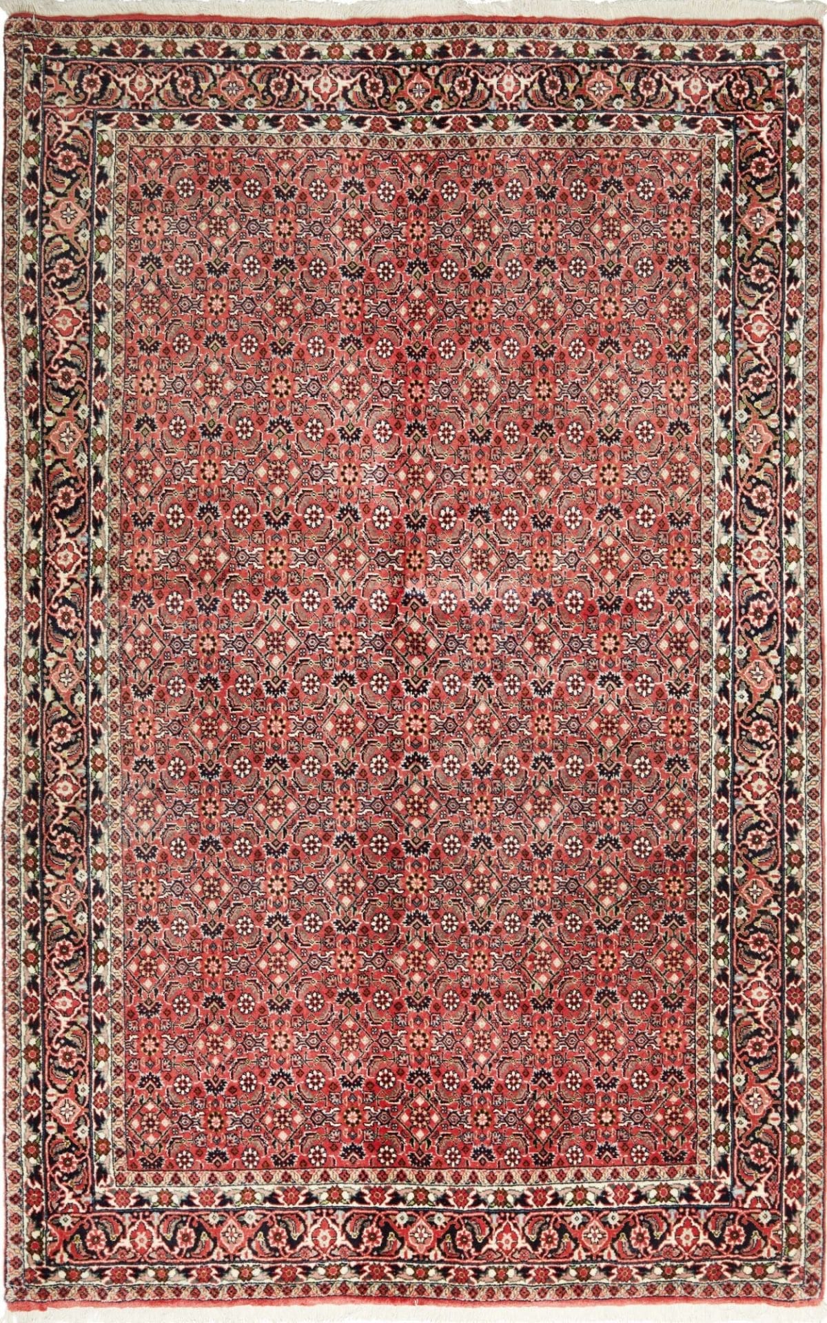 Bidjar Teppich 133 x 205cm - Handgeknüpft, Schurwolle, Perserteppich