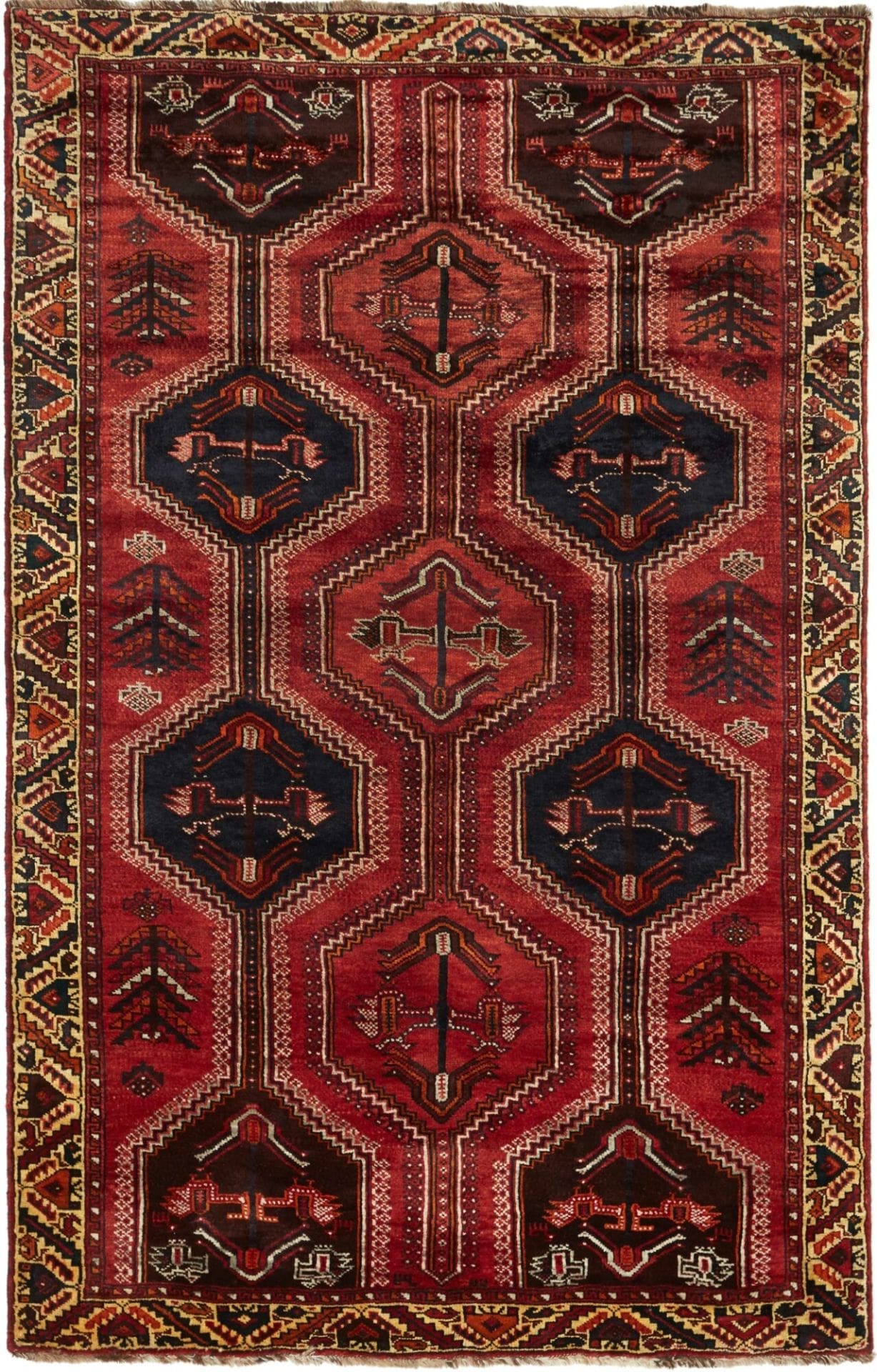 Gashghai Teppich 163 x 252 cm – handgeknüpft, aus Schurwolle, bunt