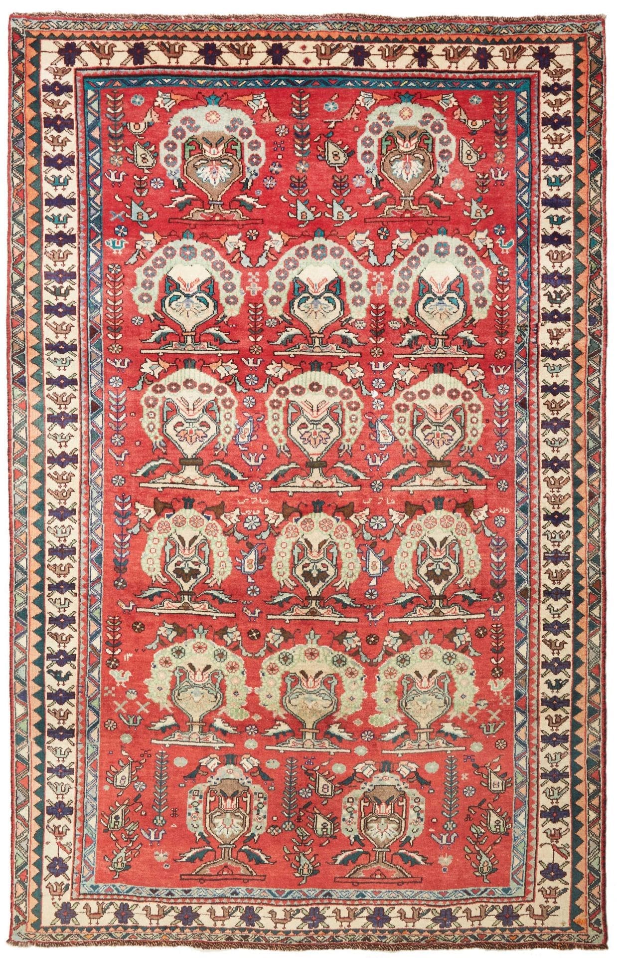 Shiraz Teppich 158 x 240 cm, Wolle auf Wolle, handgeknüpft