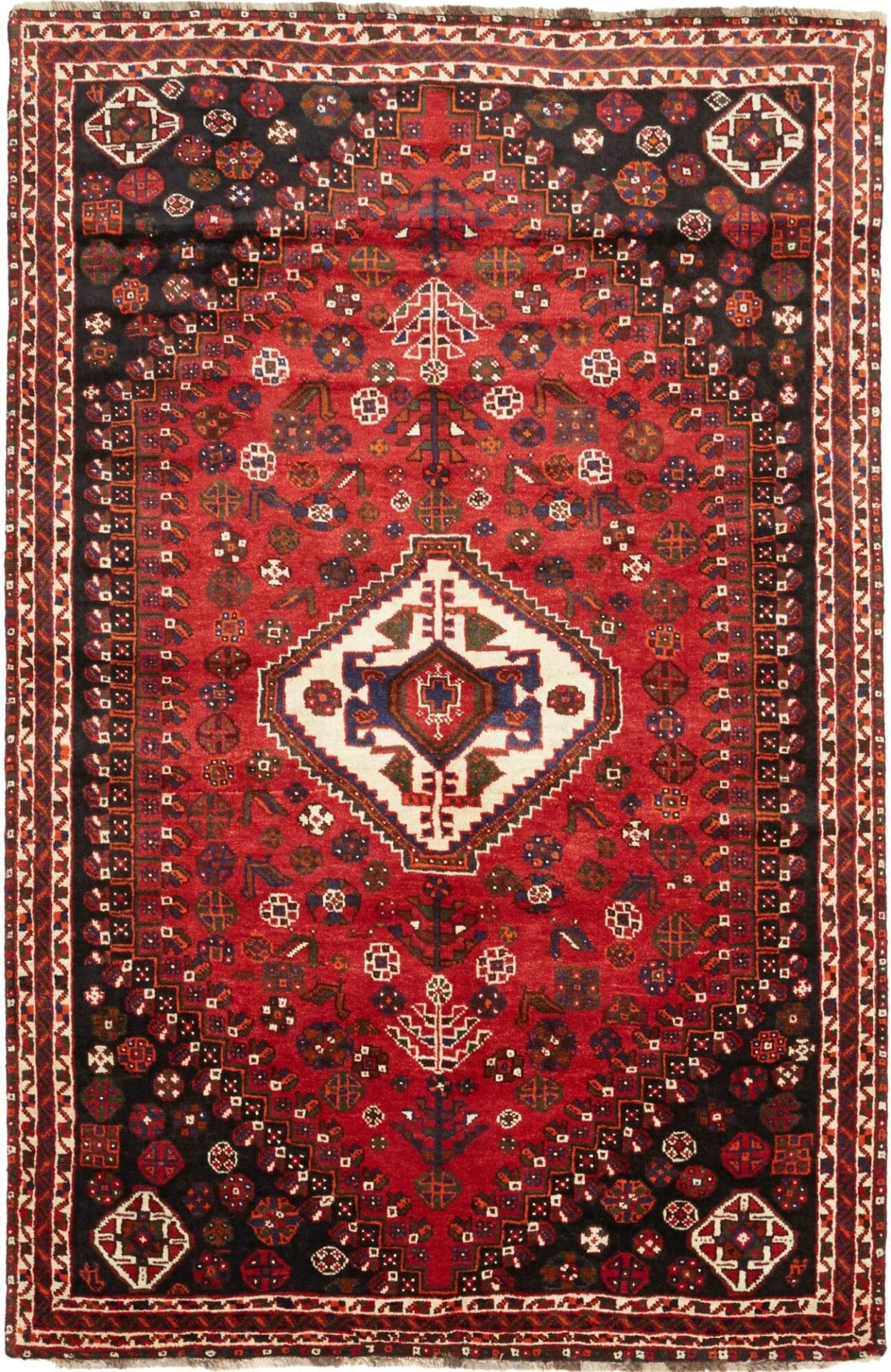 Shiraz Teppich 168 x 257cm aus Schurwolle, handgeknüpft, Orientteppich