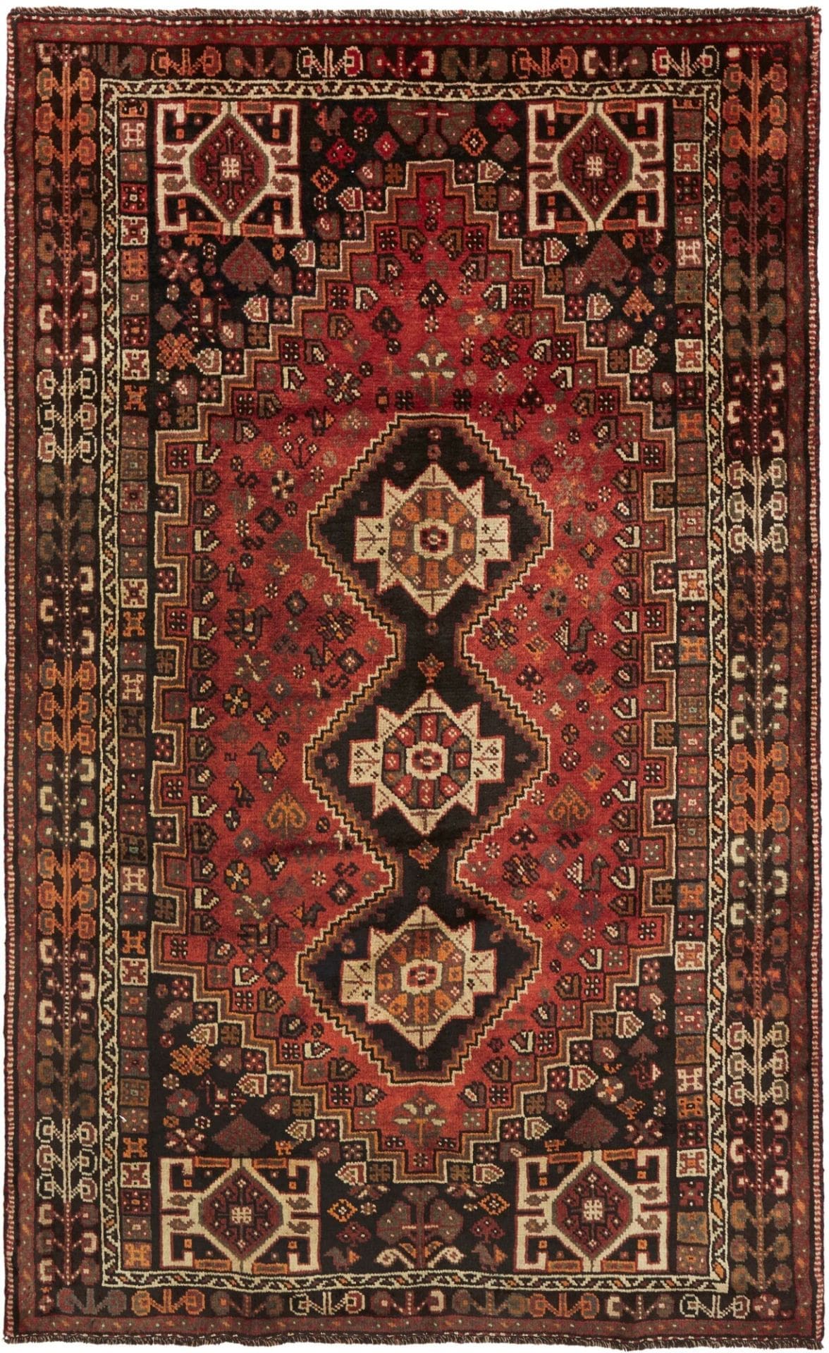 Shiraz Teppich 168 x 268 cm, Wolle, geometrische Muster, handgeknüpft