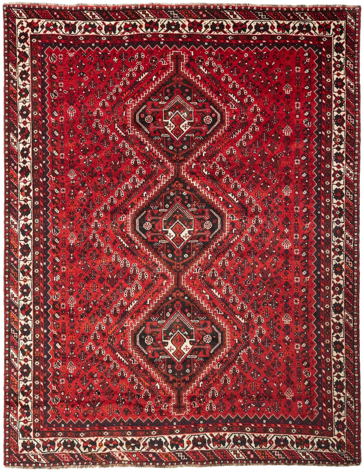 Shiraz Teppich 228 x 300 cm aus Schurwolle, handgeknüpft, Perserteppich