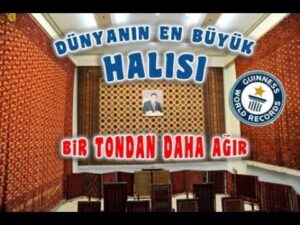 1756619398_hqdefault.jpg