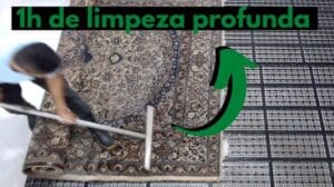 1 Stunde Teppichreinigung - Ich will sauber