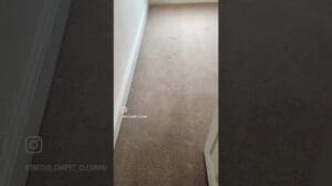 100% Wollteppich lebendig gemacht☑️