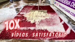 10x zufriedenstellende Videos zur Wasserentfernung von Teppichen | Teppichreinigung von Wolle, Hochflor und Fell