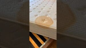 $15.000 Teppich im Lagerraum gefunden – Befriedigende Luxus-Teppichreinigung ASMR