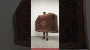 1811 5'9 X 3'9 handgewebter Bidjar-Orientteppich