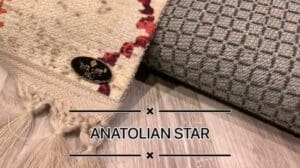 2023 Neue Serie Teppich Baumwolle und Polyester Bedruckte Teppiche und Läufer für das Wohnzimmer Türkisch
