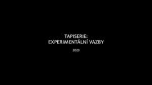 3. Tapete: experimentelle Bindungen | Weben am Rahmen und Weben auf einem Vierblatt-Webstuhl