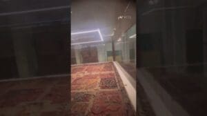 390 Jahre alter Teppich, Albert Hall Museum Jaipur #youtubeshorts #reisen #antiquitäten #kurzvideo