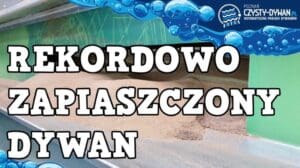 50 kg SAND im TEPPICH | Rekordmäßig Schmutziger Teppich | Teppichreinigung Poznań