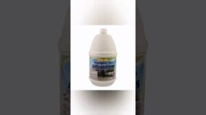 7 Tricks Zum Teppichreinigen