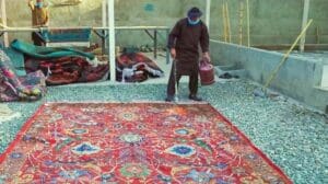 Afghanischer Teppich, handgewebt nach alter Tradition, Preis für einen 5 Quadratmeter Wollteppich über 10.000 [Heute neue Worte]