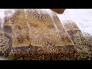 Antun - Teppichreinigung mit Schnee.wmv