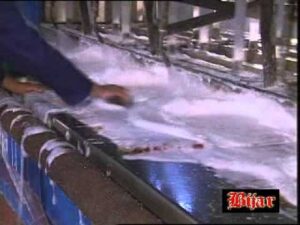 BIJAR Teppiche Rimini Spezialreinigung