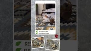 Baumwollene doppelseitige tuftfreie Teppiche #teppich #textil #teppich