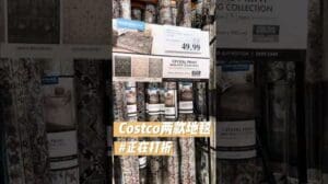 COSTCO Innenraum dekorative Teppiche, die ideale Wahl zur Verbesserung der Wohnästhetik