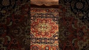 Client Home Spotlight: Tabriz Herati in Aktion 🏠