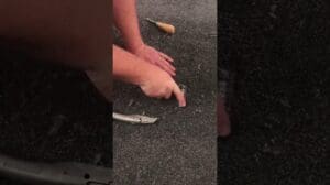 DIY - Teppichreparatur ✅