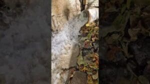 Das Geräusch des Wassers, das Geräusch des Lebens von Frau Sajjad, kulturell, Stadt Isfahan. Telegram Ezdevaj100@ Heiratsausbildung