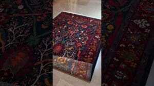 Der Teppich des Paradieses von Bijar mit besonderen Designs und Modellen