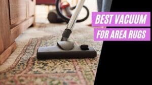 Die 5 besten Staubsauger für Teppiche Bewertungen 2022