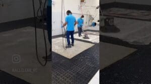 Die beste Reinigung und Hygienisierung von Teppichen