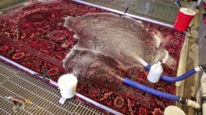 Ein Schatzteppich, der schlecht roch – Orientalischer Teppichreinigung