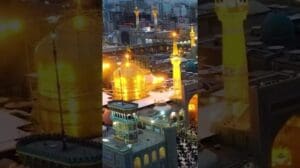 Ein Stück Teppich aus dem Heiligtum des Imam Reza (a)