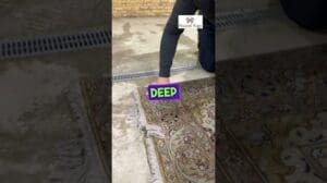 Ein weiterer SCHMUTZIGER Teppich! - Reinigung eines persischen Tabriz (KURZ) #asmr #seltsamerweisezufriedenstellend #teppichreinigung