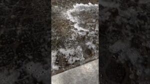 Exquisite 100% Seide Tabriz Teppich, der persische Kunstfertigkeit vereint #persischeTeppiche #Seidenteppich #google #sydney