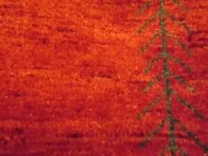 Gabbeh-Teppiche! Von Paradise Oriental Rugs, Inc. in Sebastopol, CA.