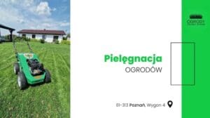 Gartenpflege Poznań Grüne Teppiche