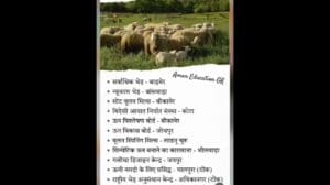 Gulidesignzentrum Jaipur Rajasthan #shorts #viral #indien #trending #bildung #ytshorts #youtubeshorts