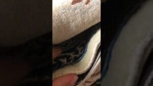 Handgefertigter Wolle- und Seiden-Nain in super feiner Qualität. Größe 300 cm x 200 cm. Video, das die Rückseite zeigt.