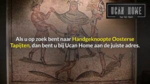 Handgeknüpfte Orientalische Teppiche